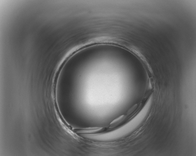 X0000081461342200701191730