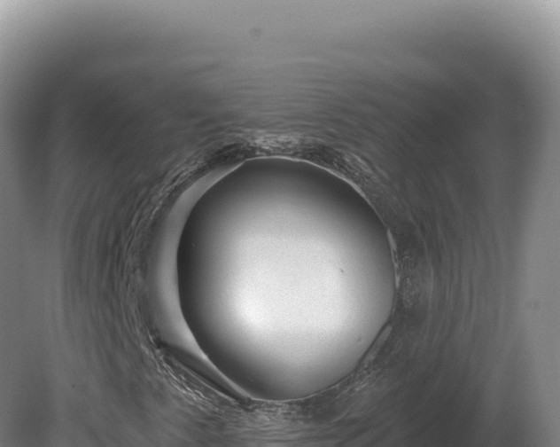 X0000081461345200701191729