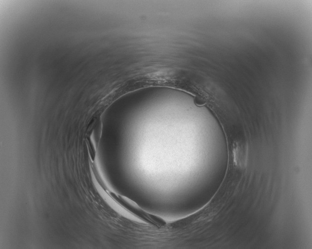 X0000081461347200701191729