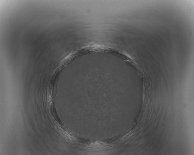 X0000081461348200701191729