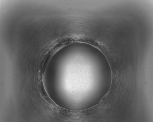 X0000081461349200701191729