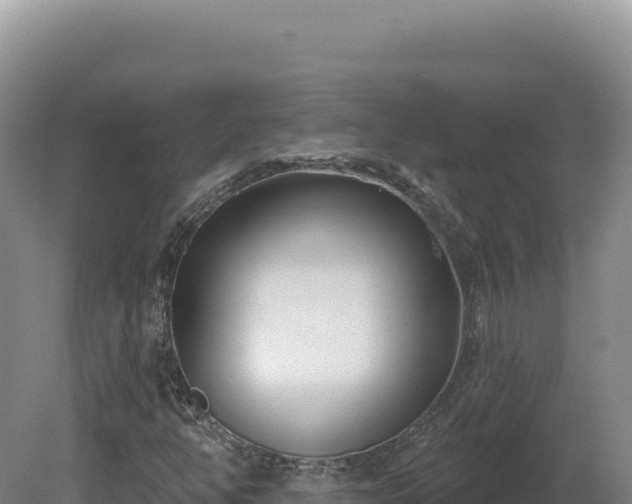 X0000081461350200701191729