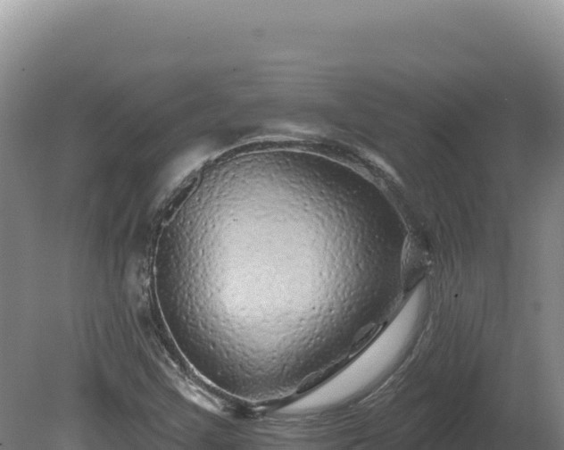 X0000081461355200701191729