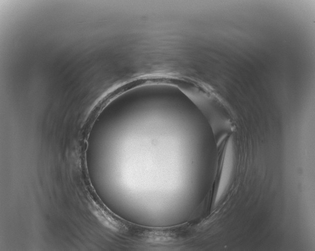 X0000081461356200701191729