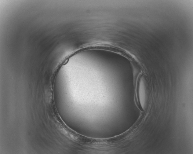 X0000081461363200701191729