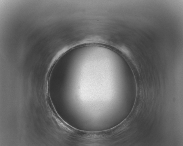 X0000081461366200701191729
