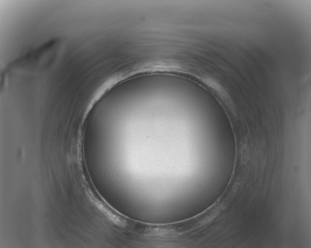 X0000081461374200701191729
