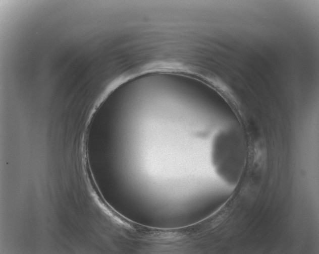 X0000081461382200701191728