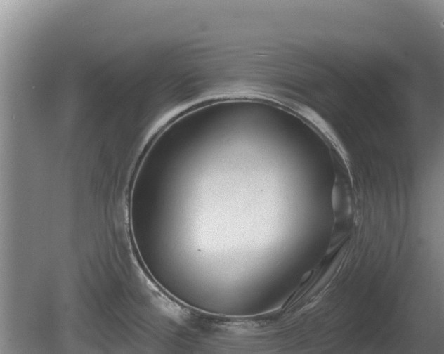 X0000081461388200701191728