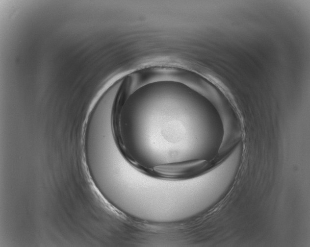 X0000081461392200701191728