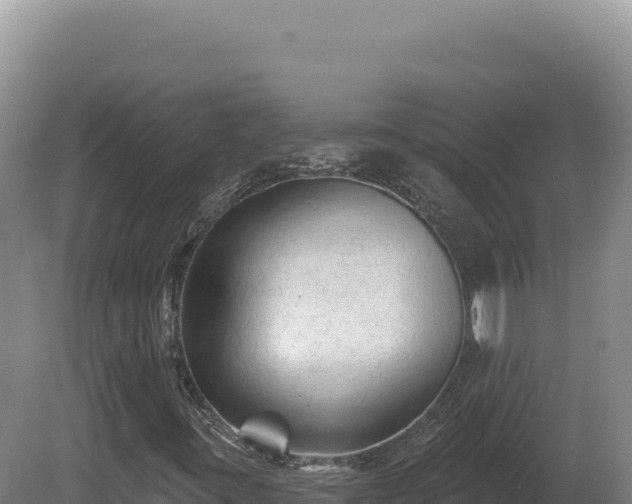 X0000081461395200701191727