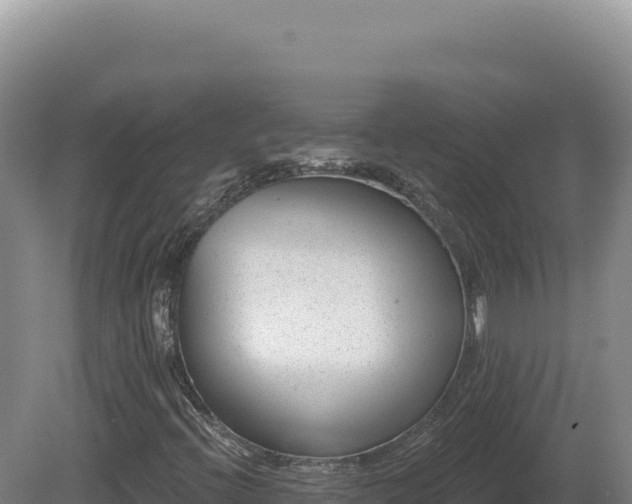 X0000081461396200701191727