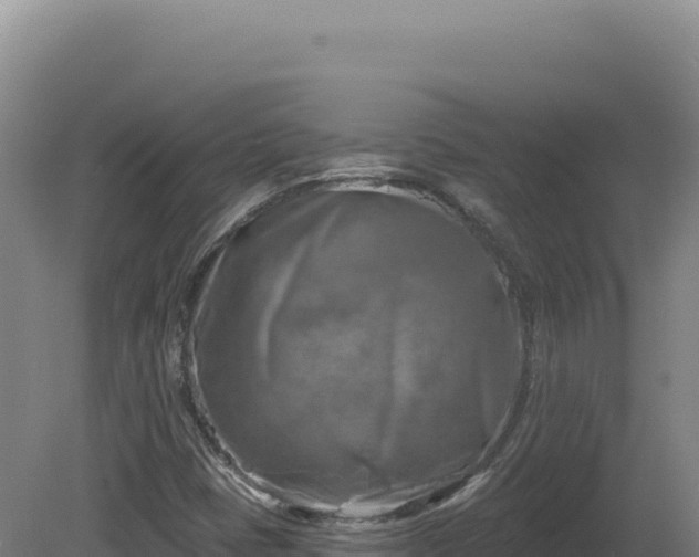 X0000081461401200701191728