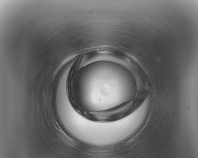X0000081461402200701191728