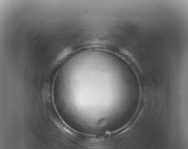 X0000081461403200701191728