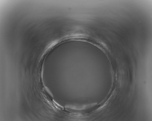 X0000081461405200701191728