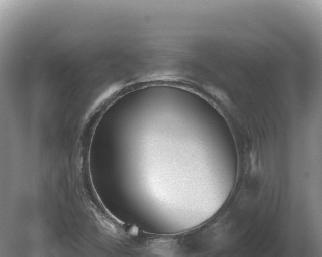 X0000081461406200701191728