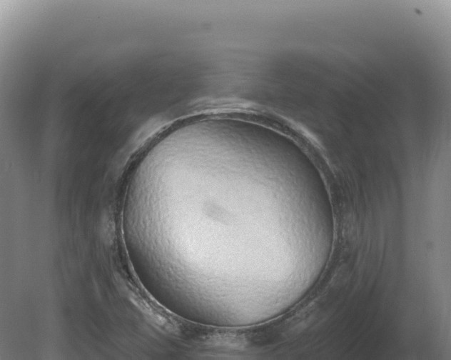 X0000081461407200701191728