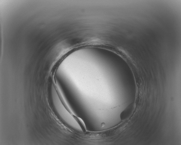 X0000081461410200701191728