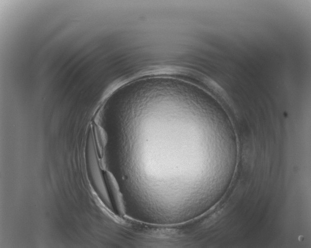 X0000081461417200701191728
