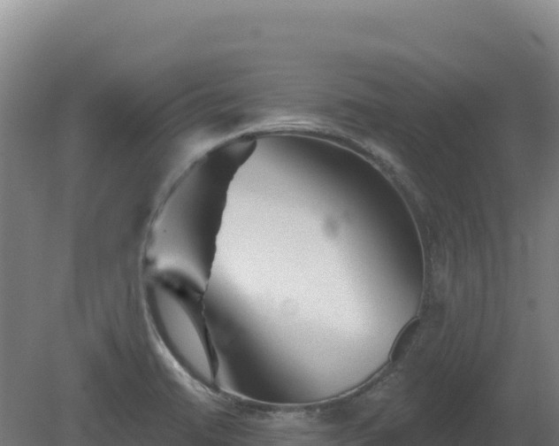 X0000081461422200701191728