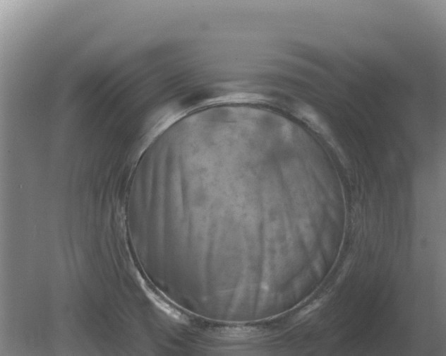 X0000081461425200701191728