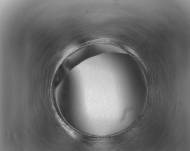 X0000081461426200701191728