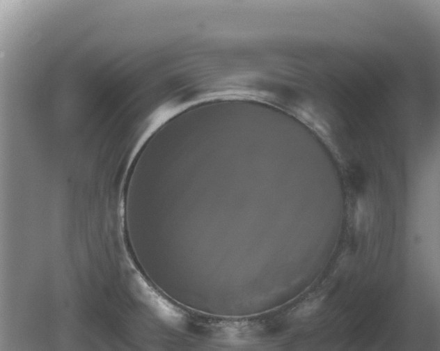 X0000081461428200701191728