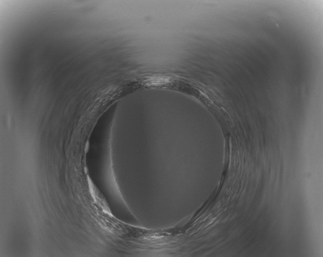 X0000081461441200701191727