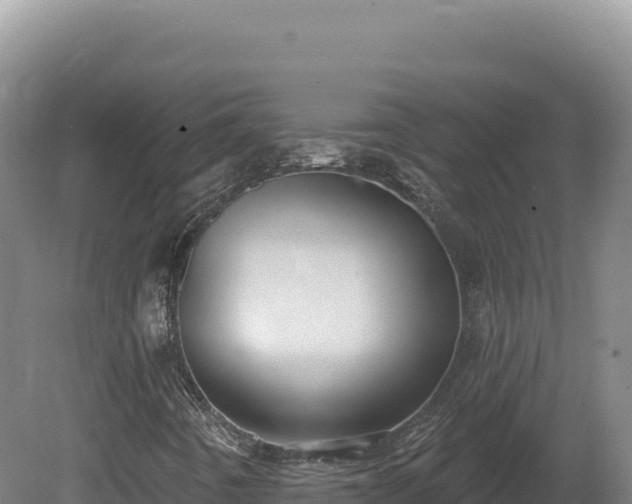 X0000081461442200701191727