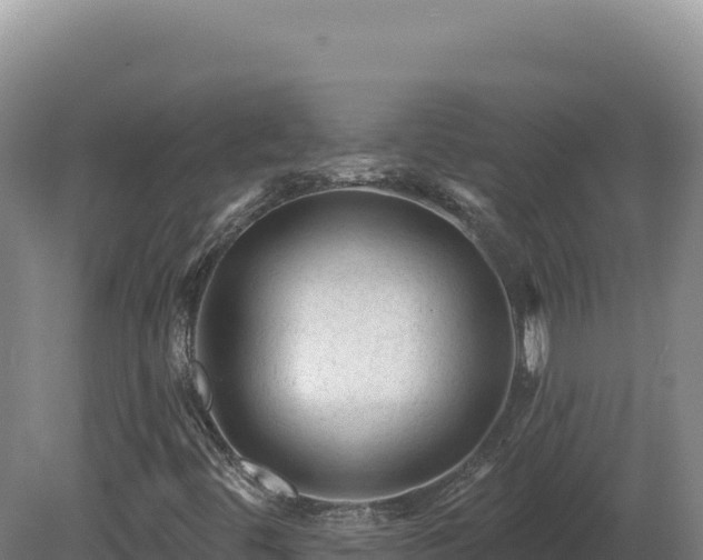 X0000081461444200701191727