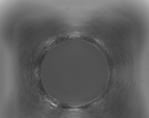X0000081461445200701191727