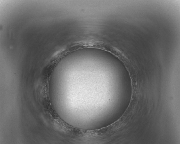 X0000081461446200701191727