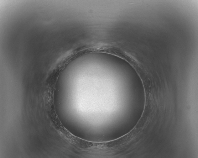X0000081461447200701191727