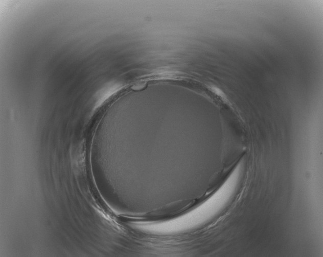 X0000081461450200701191727