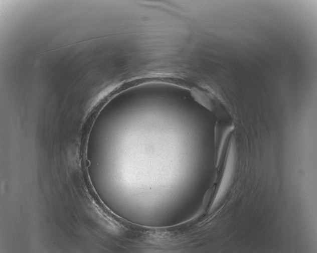 X0000081461452200701191727