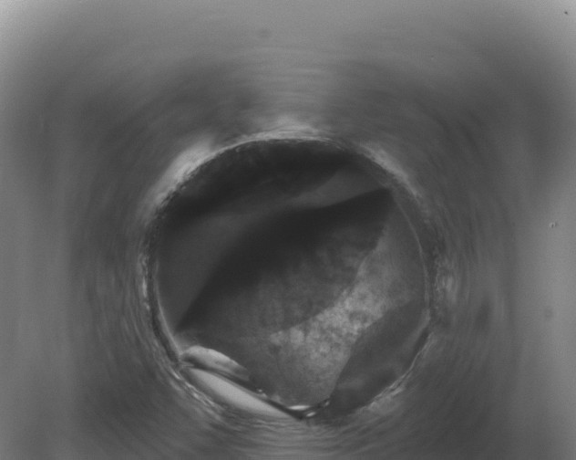 X0000081461455200701191727
