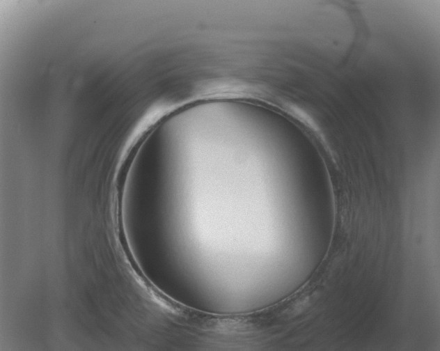 X0000081461472200701191727