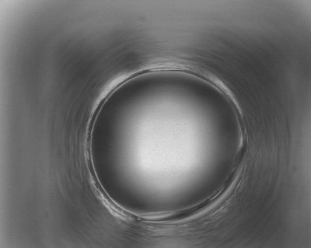 X0000081461485200701191727