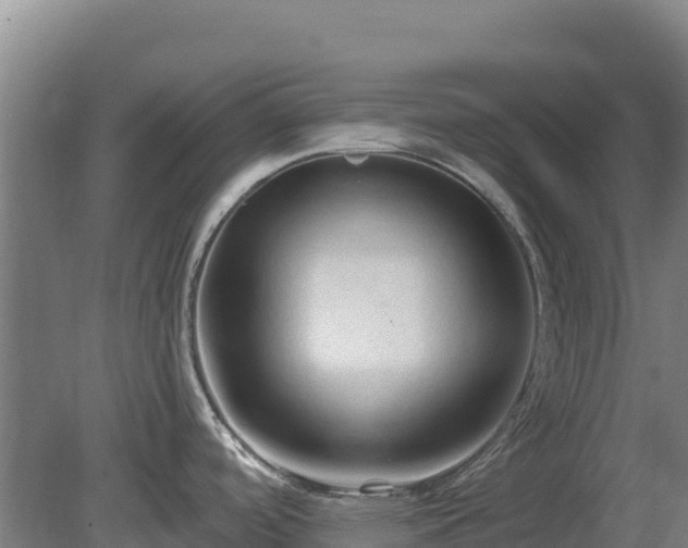 X0000081461488200701191727