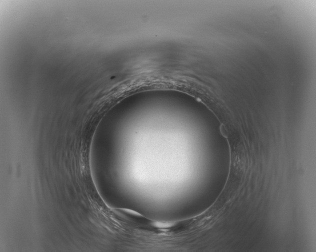 X0000081461490200701191726