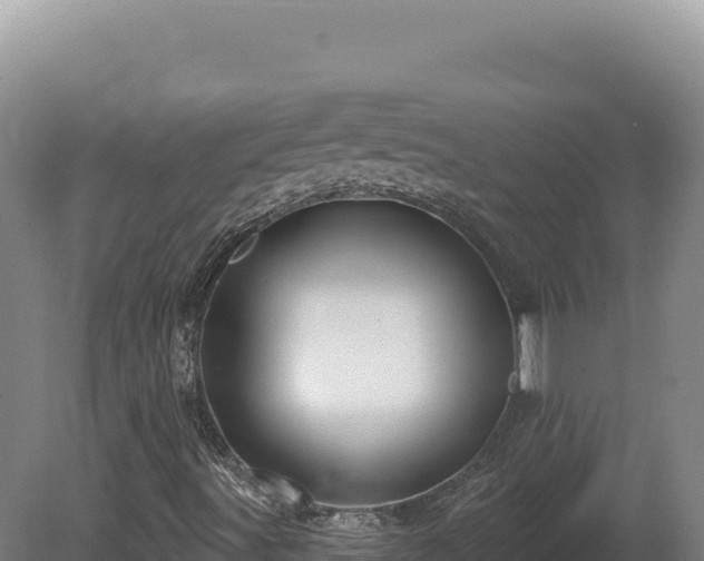 X0000081461491200701191726