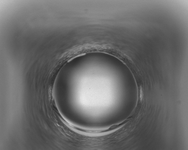 X0000081461492200701191726