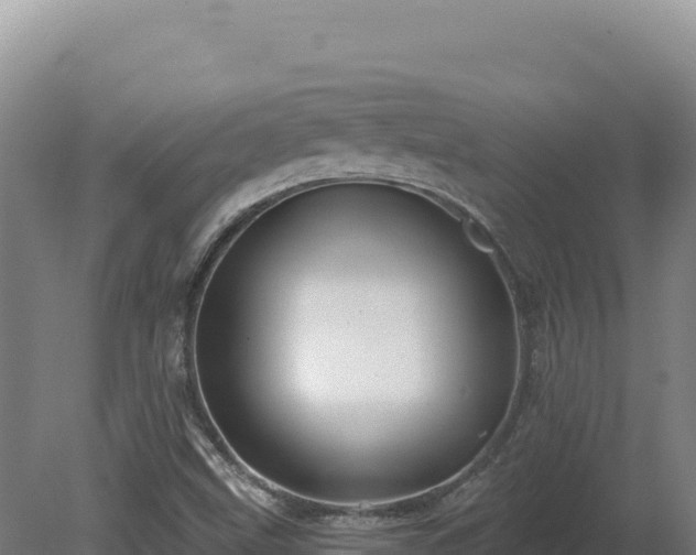 X0000081461499200701191726