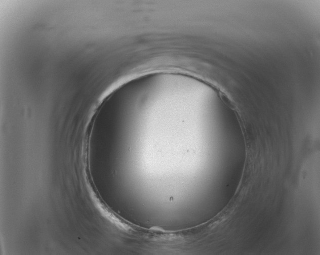 X0000081461526200701191726