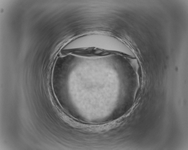 X0000081460001200701261949