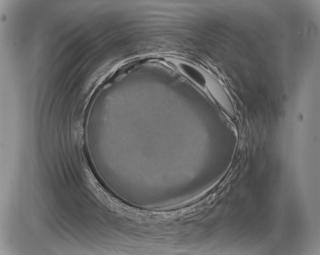 X0000081460002200701261949