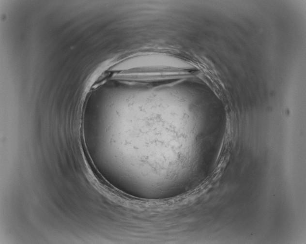 X0000081460003200701261949