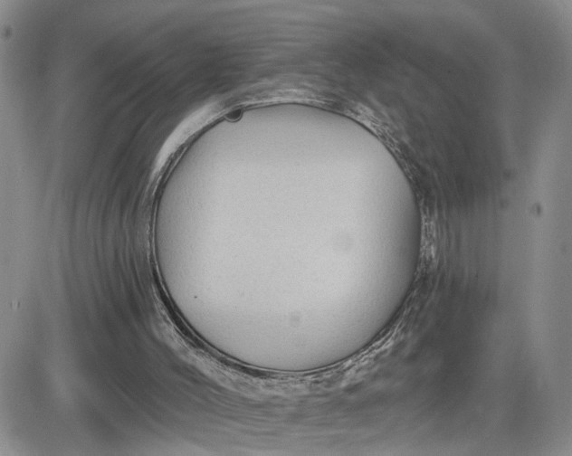 X0000081460004200701261949