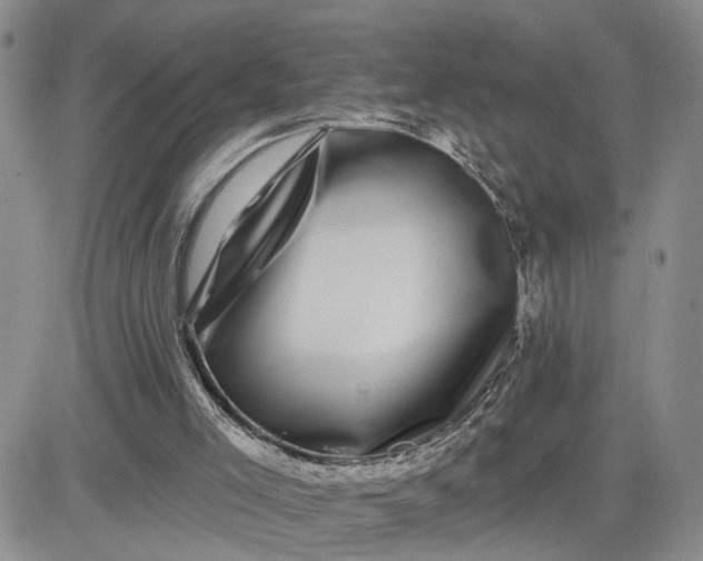 X0000081460005200701261949